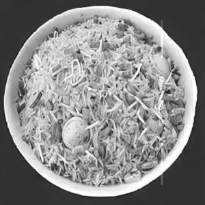 Egg Fried Rice