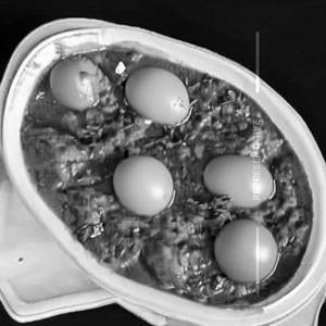 Egg Masala 