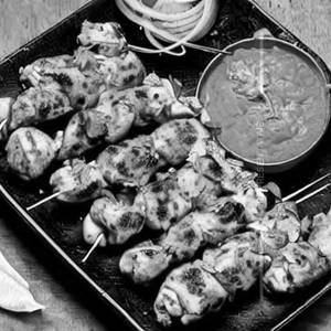 Chicken Pudina Kebab