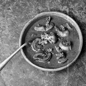 Mushroom Gassi