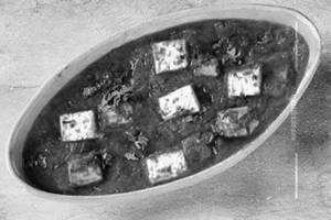 Paneer Mattar