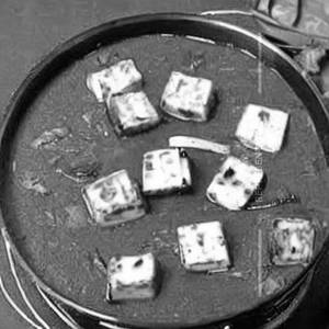Paneer Rajwadi