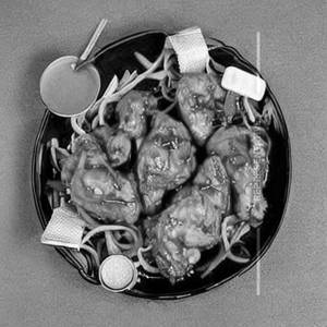 Chicken Teryaki