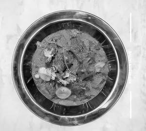 Boneless Mutton Malwani