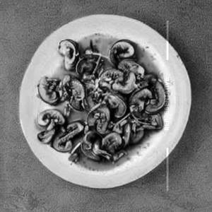 Mushroom Schezwan