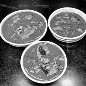 Veg Sangam