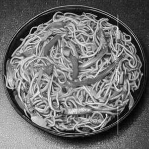 Veg Tripple Shezwan Noodles