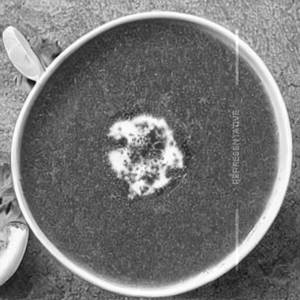Cream of Palak Soup