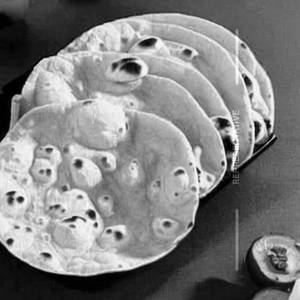Roti