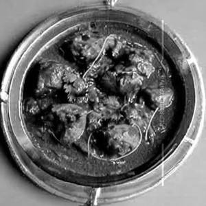 Bhuna Hua Chicken 