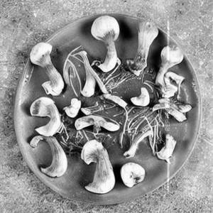 Mushroom Garlic