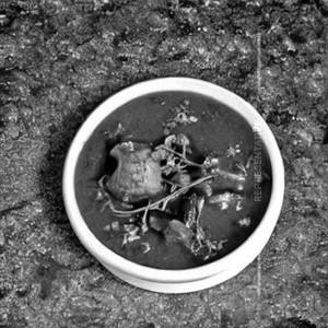 Mushroom Kadai