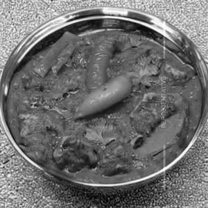 Veg Anarkali