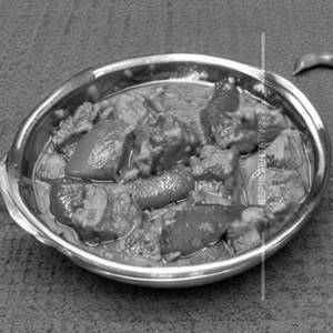 Veg Shabari