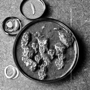 Mutton Mughlai