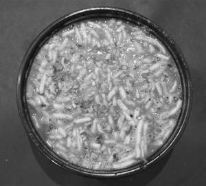Indori Sev Tamater