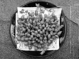 Channa Garlic Oil Fry