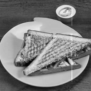 Veg Toast Sandwich