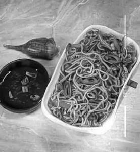 Paneer Hakka Noodles