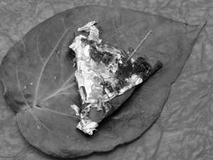 Special meetha paan