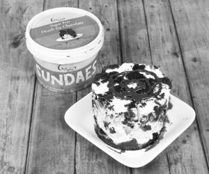 GoWhey Sugar Free Death By Chocolate ice cream[500ml]