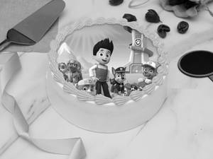 Paw Patrol Photo Cake