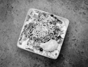 Dahi Papdi Chat