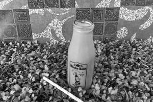 Cold Coffee