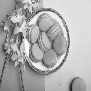 Rose Macaron