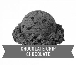 Choco Chips Ice Cream