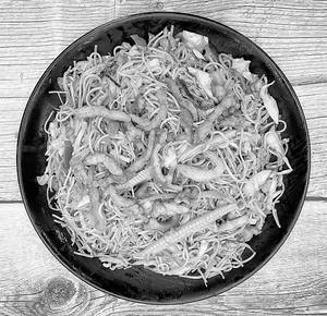 Chicken Beijing Noodles