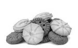 Biscuits