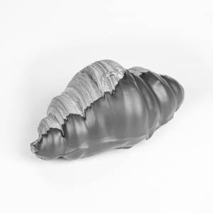 Belgian Cracker Croissant