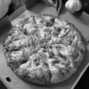 Cheese & Onion Pizza