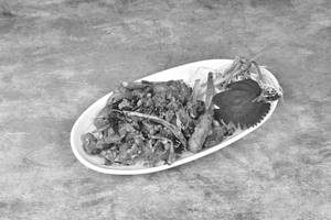 Apollo Fish