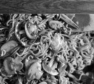 Mushroom Maggi