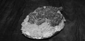Gavran Chicken Biryani