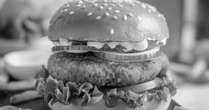 Chicken Burger