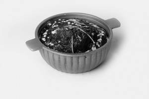 Mutton Saagwala