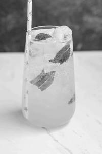 Litchi Mojito
