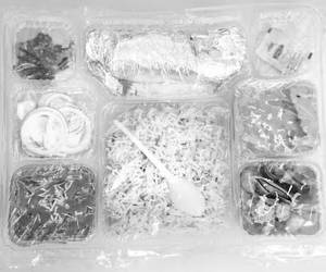 Dilip Veg Shahi Thali