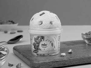 Roasted Almond Sugarless Ice Cream 100ml