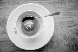 Gulab Jamun [2 Pieces]