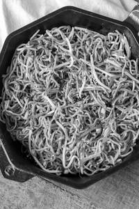 Chicken Pan Fried Noodles