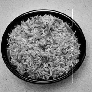 Garlic Burnt Veg Fried Rice