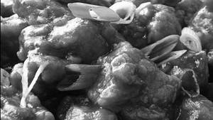 Chilly Prawn