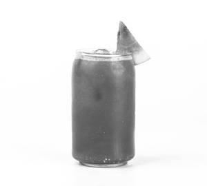 Fruit Juice (seasonal)