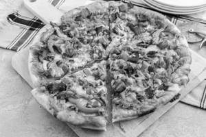 Fresh Veg Pizza