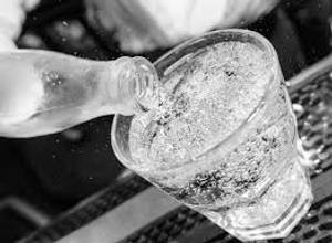 Plain Soda 500 Ml