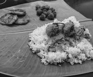 Chicken meals